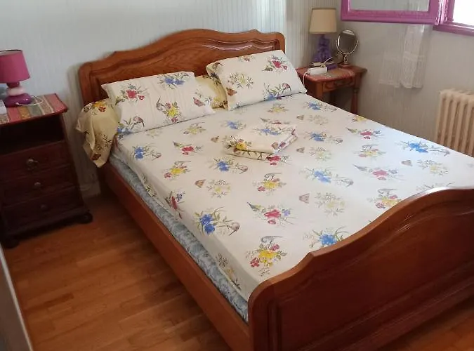 Maison Entiere Avec Parking, Garage Et Jardin Holiday home